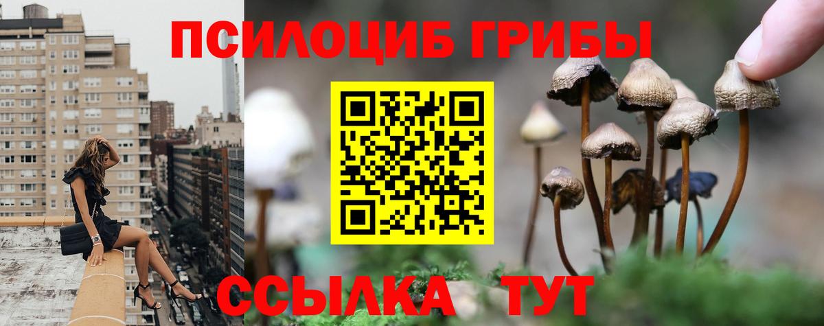 Энгельс  Псилоцибиновые грибы MAGIC MUSHROOMS  Вход с VPN 