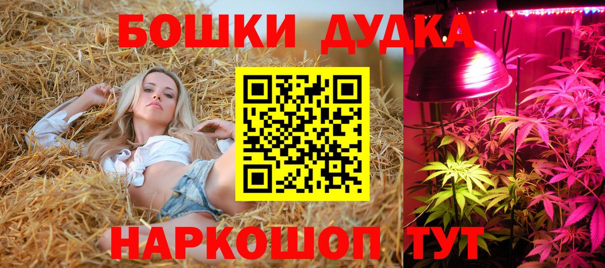 Конопля марихуана Энгельс